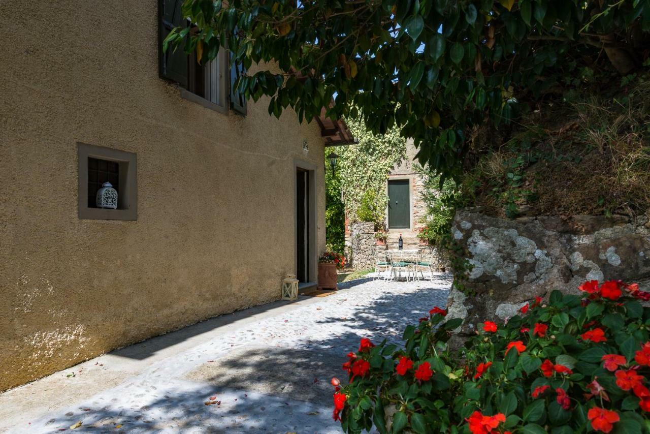 Villa Brancoli カパンノリ エクステリア 写真